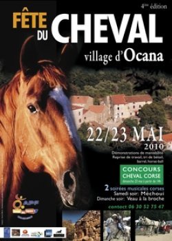 Affiche de la Fête du Cheval